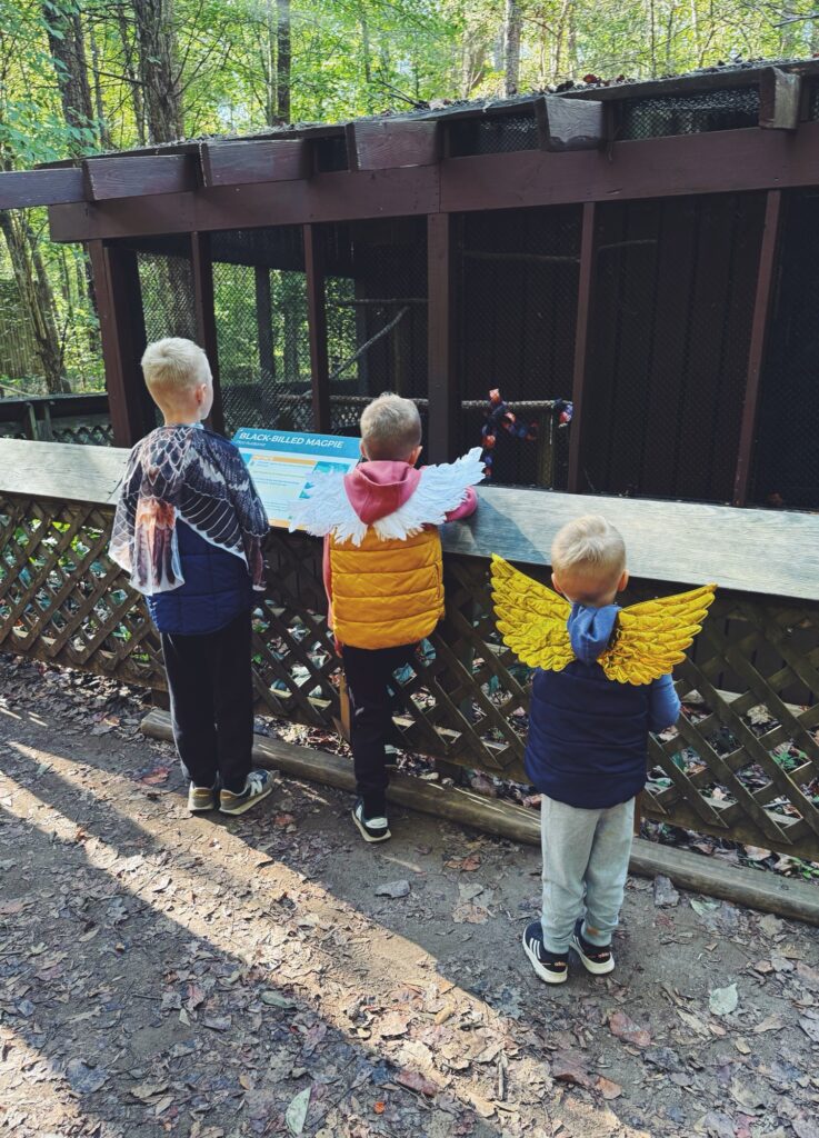 Owloween Carolina Raptor Center