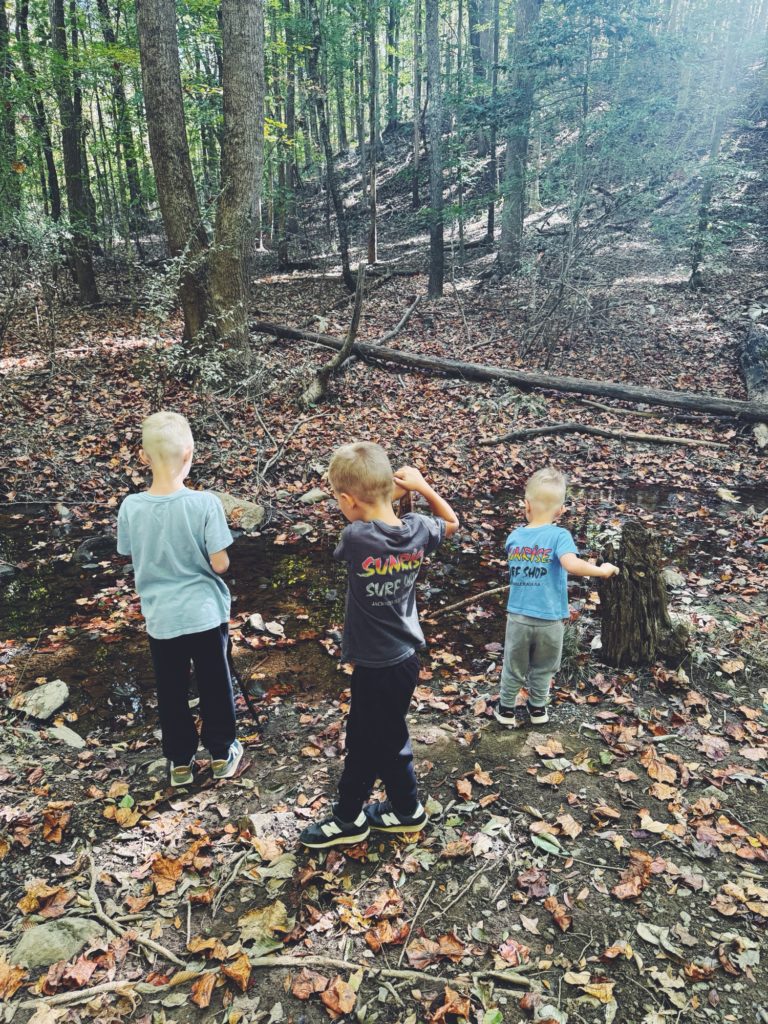 Latta Nature Preserve Chase Ryder Rhett