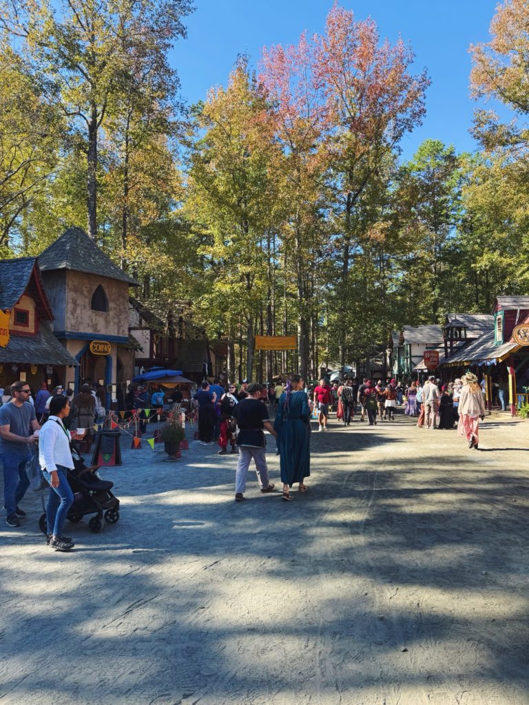 Carolina renaissance festival huntersville